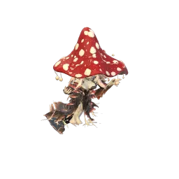 Myzelia – Ingame-Form